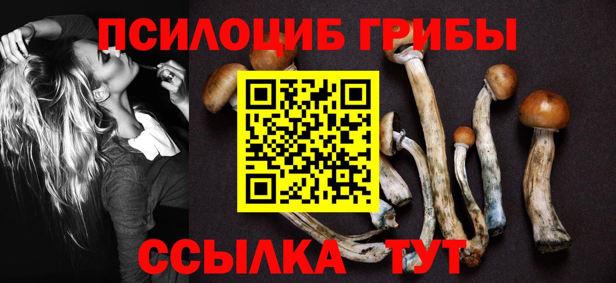 Галлюциногенные грибы Cubensis Камышлов