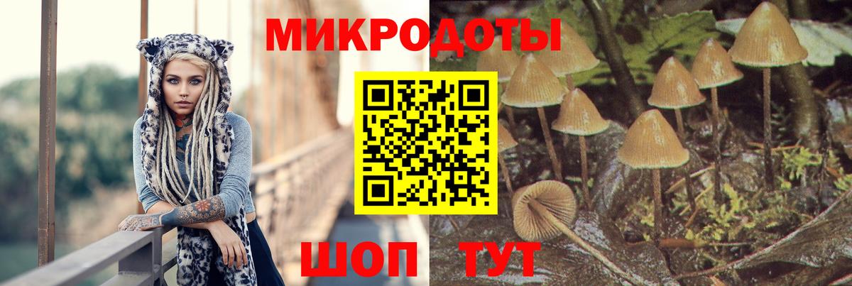 Галлюциногенные грибы MAGIC MUSHROOMS  Галлюциногенные грибы прущие грибы  Камышлов  Вход с VPN 