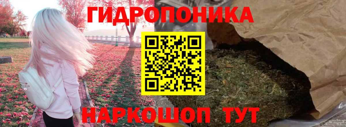 Бошки марихуана Bruce Banner Камышлов